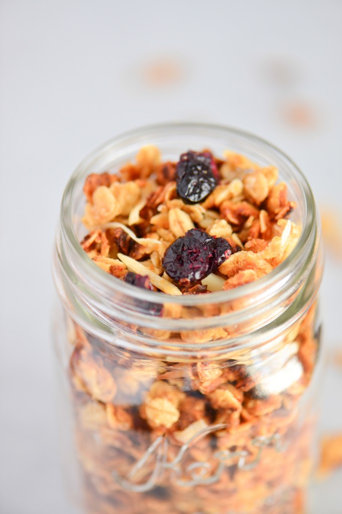 Granola (with Powdered Milk from your Food Storage) - Culinary Mamas